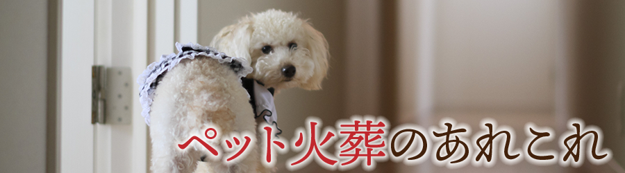 ペット火葬のあれこれ